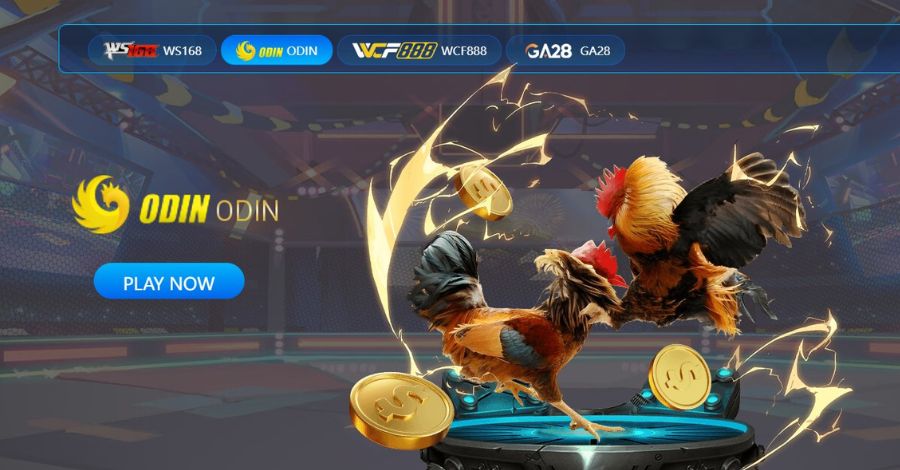 Điểm tên các giải đấu hàng đầu được sảnh Đá Gà TD88 cung cấp
