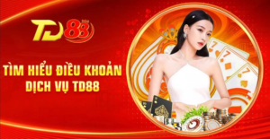 Tìm hiểu điều khoản dịch vụ TD88