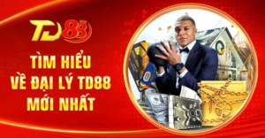 Tìm hiểu về đại lý TD88 mới nhất